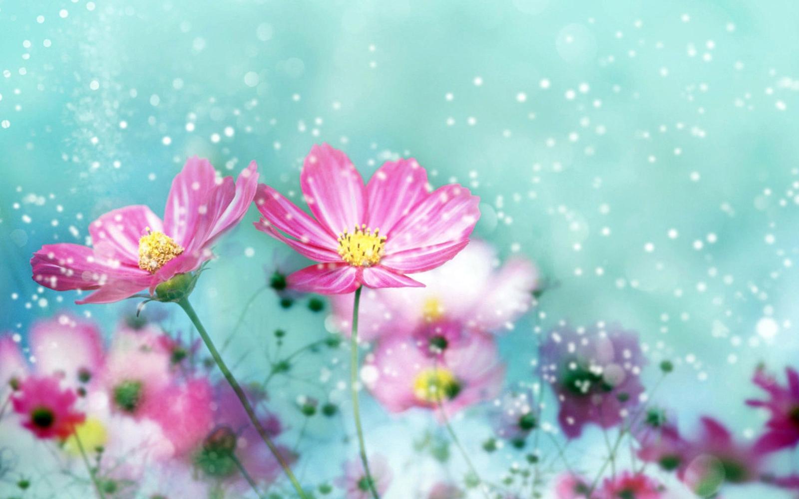 2560x1600 40+ Cute Flower Computer Wallpapers - Download at WallpaperBro