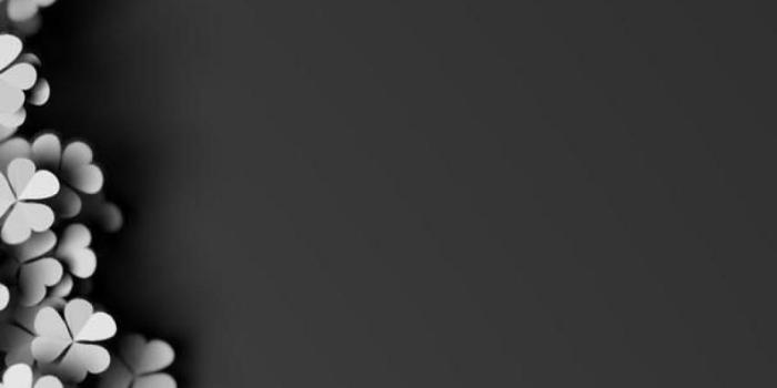 1080x1920 Inspirational Quotes Wallpaper (27+ images) on Genchi.info