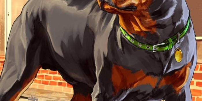 726x1280 GTA 5 Dog Chop Wallpaper by AnimeFreak250 - 15 - Free on ZEDGE™