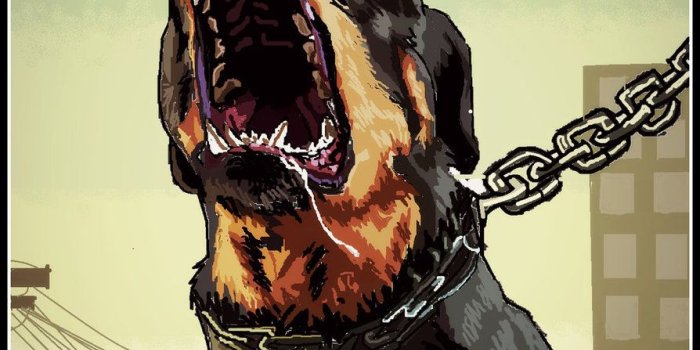 894x894 Grand Theft Auto V Chop Wallpapers