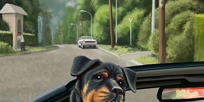 700x1400 Stay Tune In HD Wallpapers