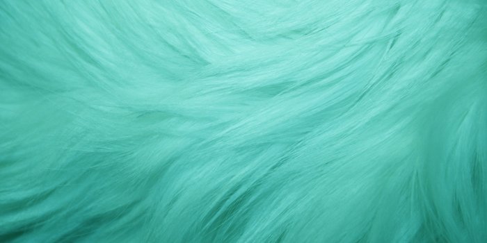 3888x2592 45+] Teal Desktop Wallpaper on WallpaperSafari