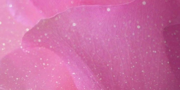 1242x2208 Pink Sparkle Wallpaper (70+ images)