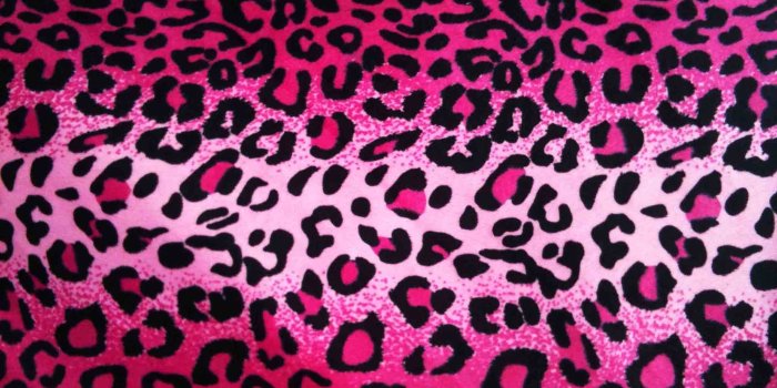 2048x1536 60+ Pink Glitter Cheetah Wallpapers - Download at WallpaperBro