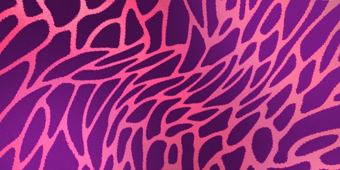 1920x1080 Cheetah Print Wallpaper Texture (#291556) - HD Wallpaper Download