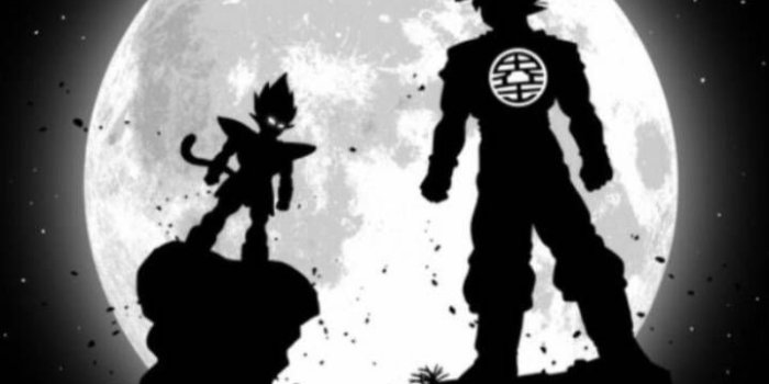 720x1280 Goku Vegeta Moon Wallpaper by Nicolo69 - 20 - Free on ZEDGE™