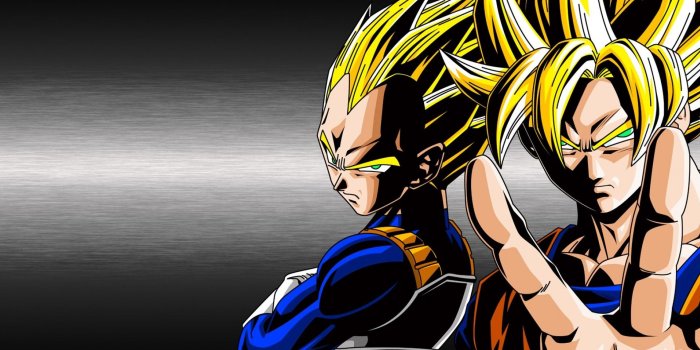 1920x1200 Dragon Ball Z Goku And Vegeta HD wallpaper