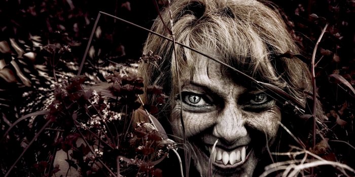 2560x1580 female werewolf | Female Werewolf | Walk on the Dark Side | Female