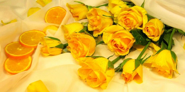 1920x1200 Yellow Roses Wallpapers