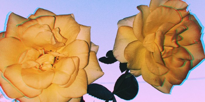 3024x3024 pinterest~lanimanners1 vsco~lanimanners | Aesthetic | Aesthetic