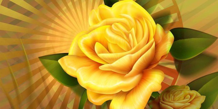 1920x1200 35+ Yellow Rose Wallpapers - Download at WallpaperBro
