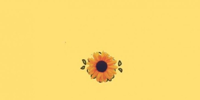 728x1292 yellow aesthetic wallpaper iphone | Pomelo Tapet