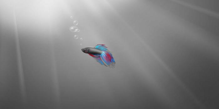 1600x1000 Windows 7 Wallpapers ~ HD Desktop Wallpapers