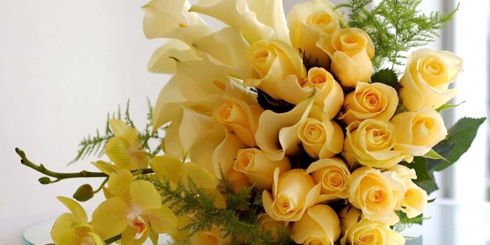 1920x1200 Yellow Rose Background ·① WallpaperTag