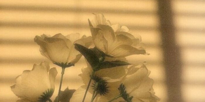 719x1280 Beautiful Iphone 6 Plus Wallpaper Tumblr Aesthetic – Aesthetic