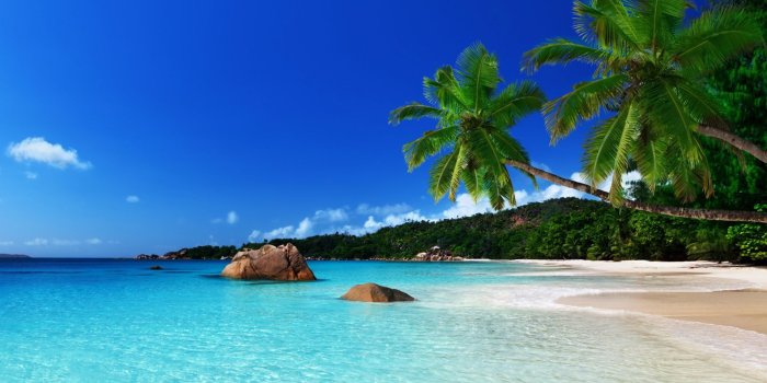 1920x1200 71+] Jamaica Beach Wallpaper on WallpaperSafari