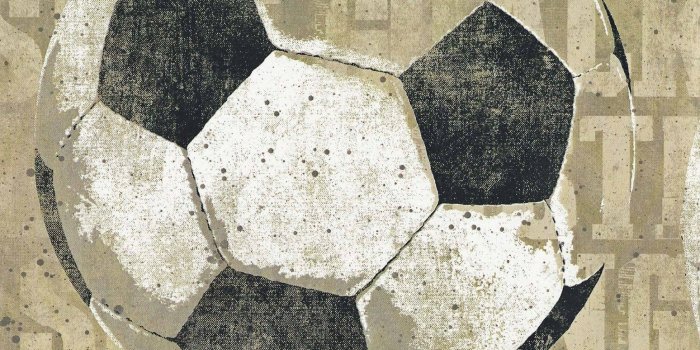 1548x1600 Sports Wallpaper Border - World Football - Soccer Ball - York Borders -  YK013