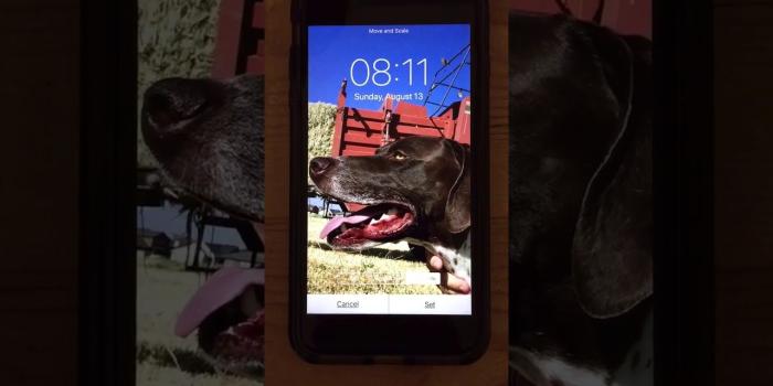 1280x720 How to create live wallpapers or iPhone Harry Potter photos