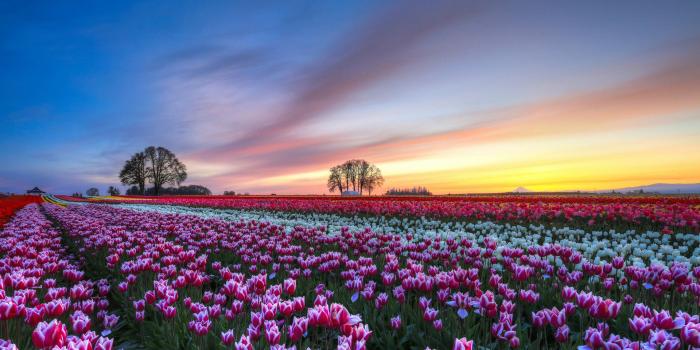 1920x1080 Beautiful Nature Wallpaper (29+ images) on Genchi.info