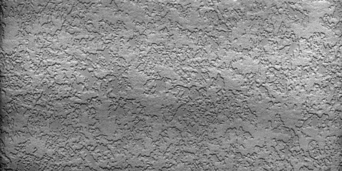 1143x1600 Paintable Wallpaper Stucco Popcorn Heavy Textured 56 Sq ft Roll 148
