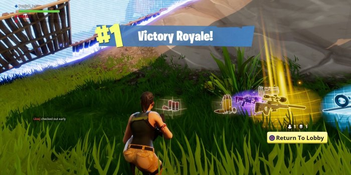 1920x1080 Fortnite Victory Desktop Wallpaper 63009 1920x1080px