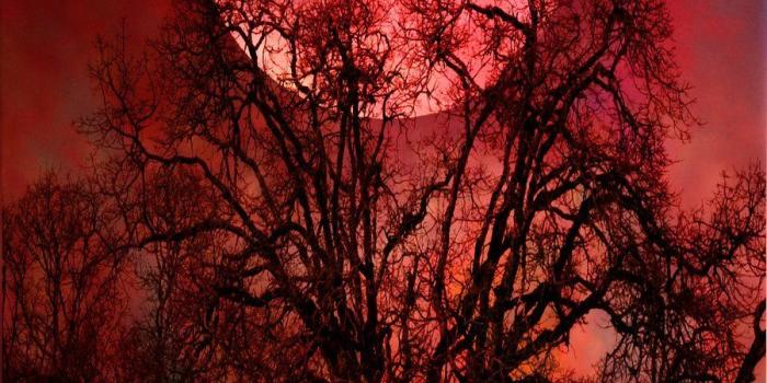 900x1165 Blood Moon Mtg Wallpapers