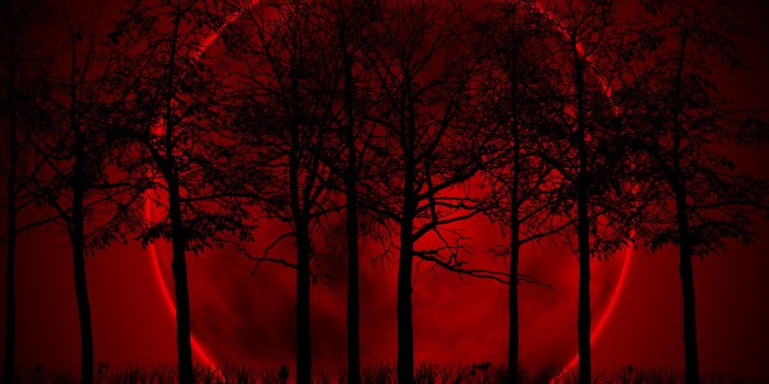 2560x1600 46+] Blood Moon Wallpaper iPhone on WallpaperSafari