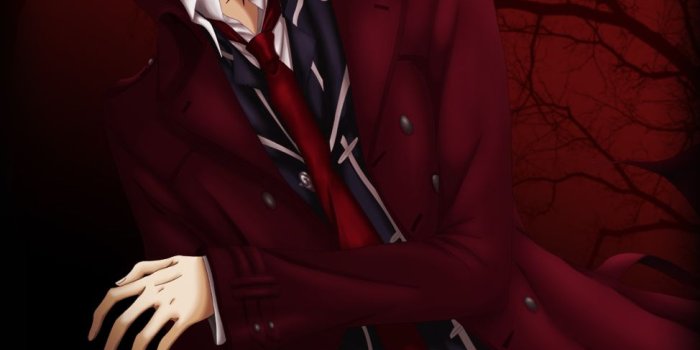 974x1500 Kiryuu Zero - Vampire Knight - Mobile Wallpaper #344309 - Zerochan