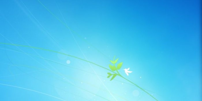 768x1024 Background Logon Default Windows 7 ❤ 4K HD Desktop Wallpaper for 4K