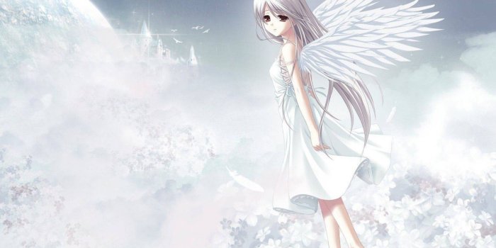 1920x1080 61+ Animated Angel Wallpapers on WallpaperPlay