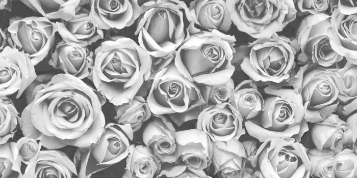 975x975 WALLPAPERS - Black and White