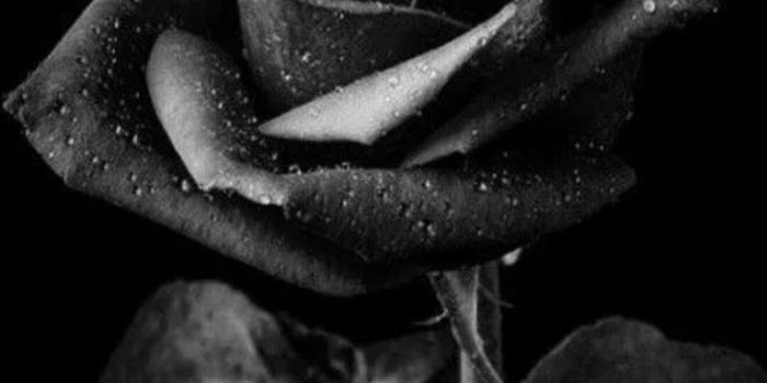 1080x1920 One of the things that has always been most beautiful to me | really