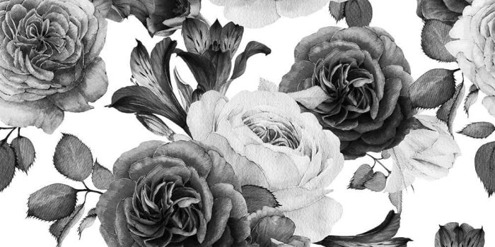 1000x1000 White Rose Wallpaper Mural | 41 Orchard