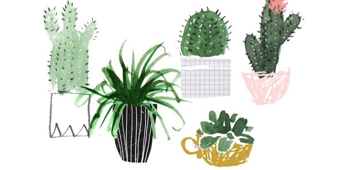 1000x1000 Plant Family | graphic things | Plant wallpaper, Illustration, Paint