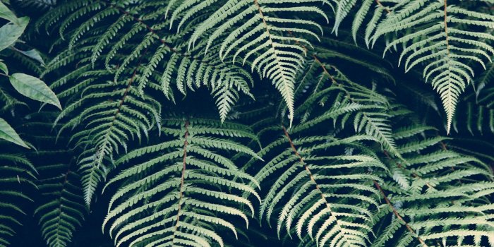 1920x1100 Expo OUTBOX, a creative jungle - Creative Belgium