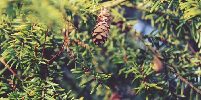 2500x1667 Wallpapers Aesthetic Screen Background Images 4k High Definiton