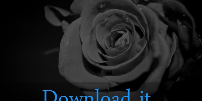 3214x2139 White Rose Wallpapers (56+ background pictures)