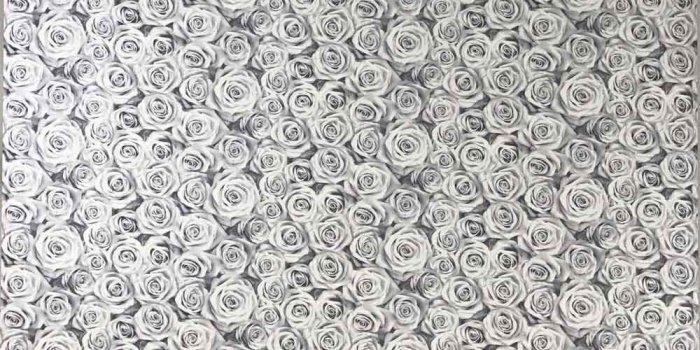 1000x836 V305-10 Black & White Roses Wallpaper Roll – wallcoveringsmart