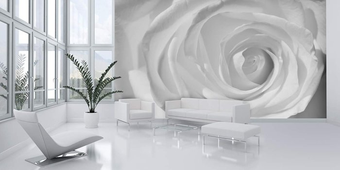 1500x844 White Rose Macro Black and White Wallpaper Mural