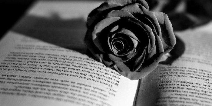 1920x1080 Black And White Flower Desktop Backgrounds - Flowers Healthy