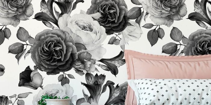 1000x1000 White Rose Wallpaper Mural | 41 Orchard