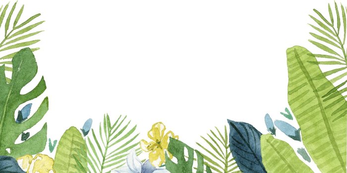 1856x1161 60+ Tropical Leaves Desktop Wallpapers - Download at WallpaperBro