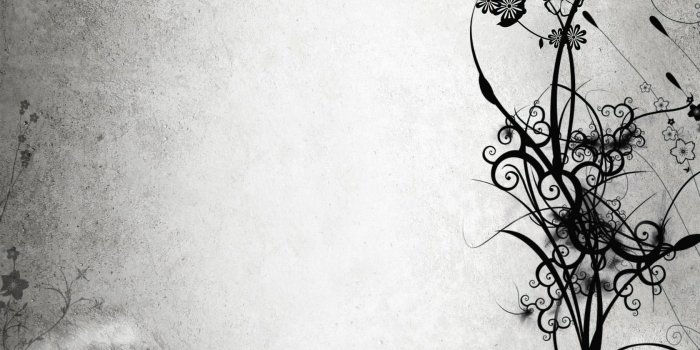 1680x1050 60+ Black and White Flower Wallpapers - Download at WallpaperBro