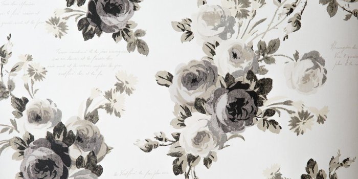 1024x1024 Heirloom Rose Wallpaper
