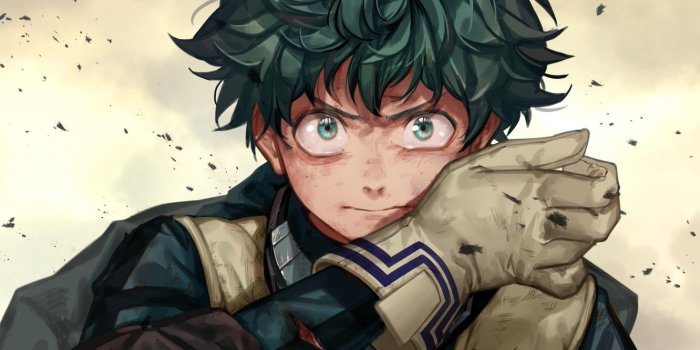 1332x850 Photo Wallpaper Look, Hero, Guy, My Hero Academia, - Anime (#13993