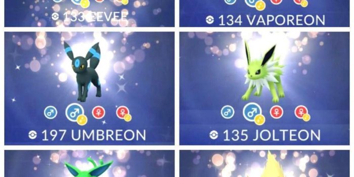 960x960 Pokémon GO Community Day: The Best Way To Get Every Shiny Eevee