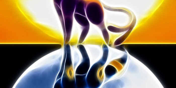 1200x1200 Umbreon Wallpapers