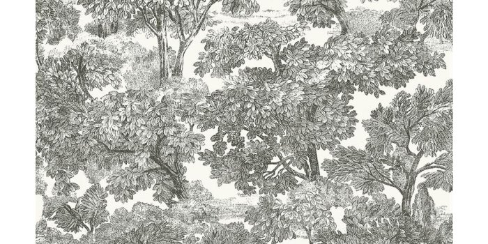 1000x1000 8 in. x 10 in. Spinney Black Toile Wallpaper Sample