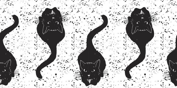 900x900 Vintage Black Cats Removable Wallpaper