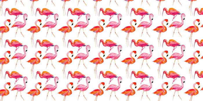 3200x2400 Kate Spade 3200x2400 Pic ID:100728795